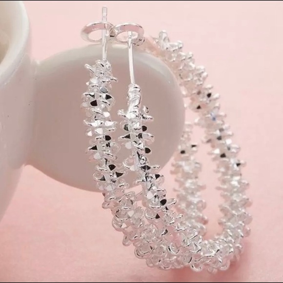 Silver Hoop Earrings - Picture 1 of 3